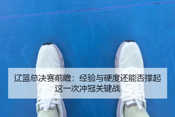 辽篮总决赛前瞻：经验与硬度还能否撑起这一次冲冠关键战 - yingjiasports